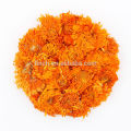 Finch New Arrival té de flor seca Calendula o caléndula